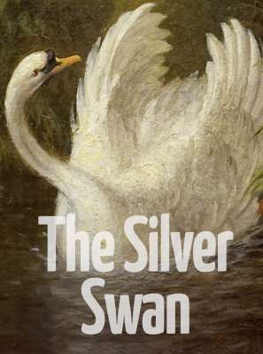 Silver Swan